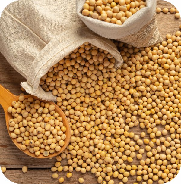SOYA SHELF LIFE – A NEW PERSPECTIVE